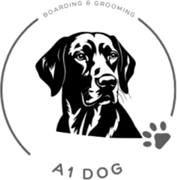 My Pet Logo